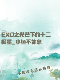 EXO之光芒下的十二颗星