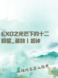 EXO之光芒下的十二颗星