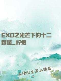 EXO之光芒下的十二颗星