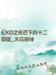 EXO之光芒下的十二颗星