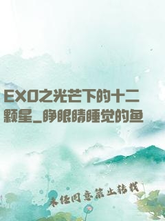 EXO之光芒下的十二颗星