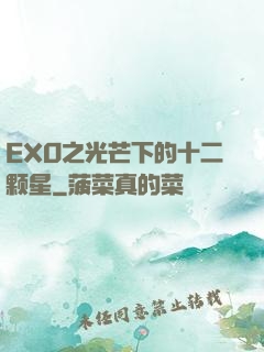EXO之光芒下的十二颗星