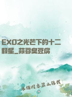EXO之光芒下的十二颗星