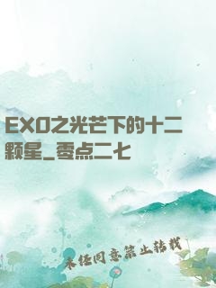 EXO之光芒下的十二颗星