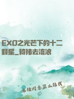 EXO之光芒下的十二颗星