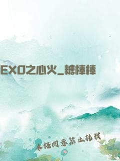 EXO之心火