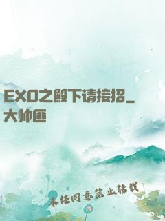 EXO之殿下请接招