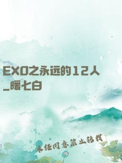 EXO之永远的12人