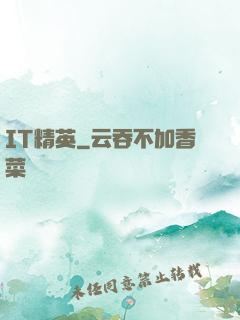 IT精英