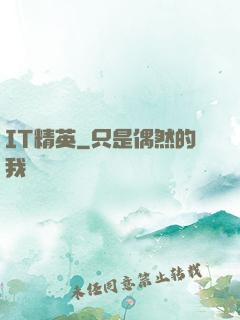 IT精英