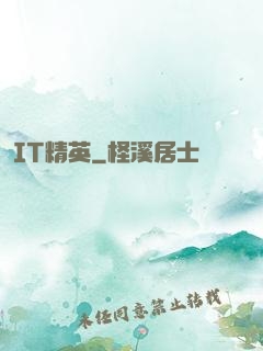 IT精英