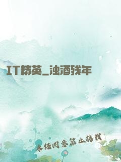 IT精英