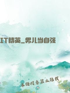 IT精英