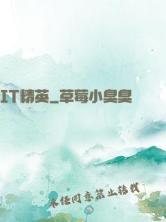 IT精英