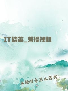 IT精英