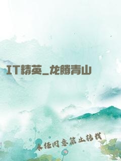 IT精英