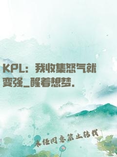 KPL：我收集怒气就变强