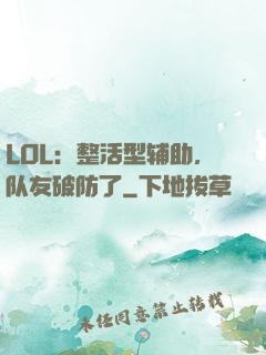 LOL：整活型辅助，队友破防了