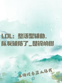 LOL：整活型辅助，队友破防了