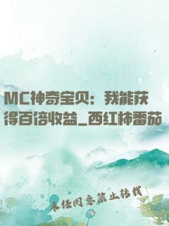 MC神奇宝贝：我能获得百倍收益