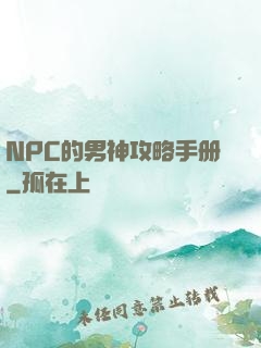 NPC的男神攻略手册