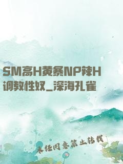 SM高H黄暴NP辣H调教性奴