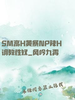 SM高H黄暴NP辣H调教性奴