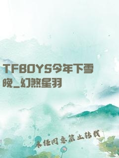 TFBOYS今年下雪晚