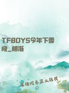TFBOYS今年下雪晚