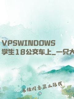 VPSWINDOWS学生18公交车上