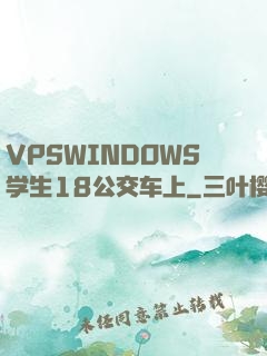 VPSWINDOWS学生18公交车上