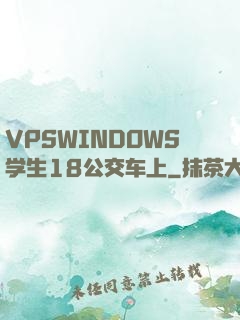 VPSWINDOWS学生18公交车上