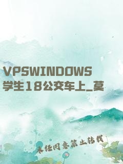 VPSWINDOWS学生18公交车上