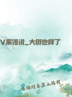 V家传说