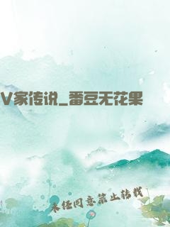 V家传说