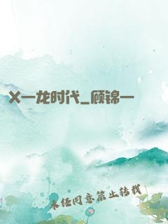 X一龙时代