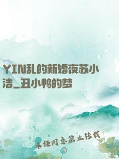 YIN乱的新婚夜苏小洁