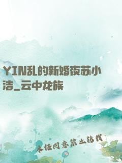 YIN乱的新婚夜苏小洁