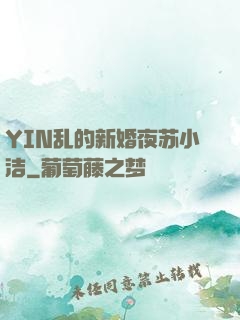 YIN乱的新婚夜苏小洁