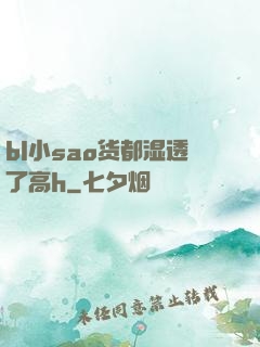 bl小sao货都湿透了高h