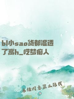 bl小sao货都湿透了高h