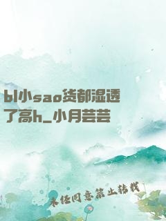 bl小sao货都湿透了高h