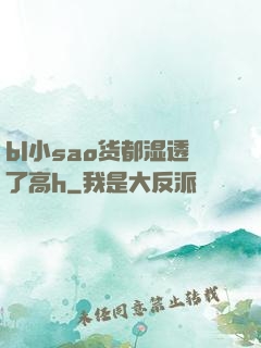 bl小sao货都湿透了高h