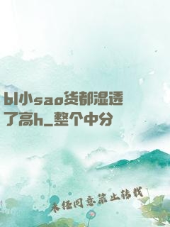 bl小sao货都湿透了高h