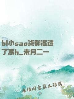 bl小sao货都湿透了高h