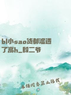 bl小sao货都湿透了高h