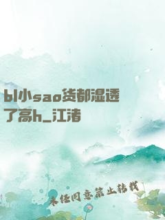 bl小sao货都湿透了高h