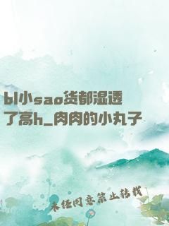 bl小sao货都湿透了高h
