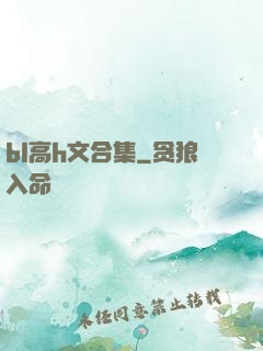 bl高h文合集