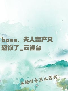 boss，夫人资产又超你了